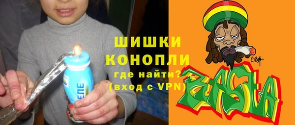 ГАЛЛЮЦИНОГЕННЫЕ ГРИБЫ Магас