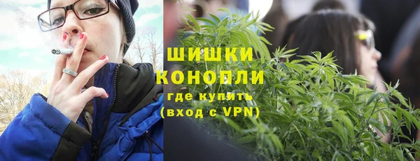ГАЛЛЮЦИНОГЕННЫЕ ГРИБЫ Магас
