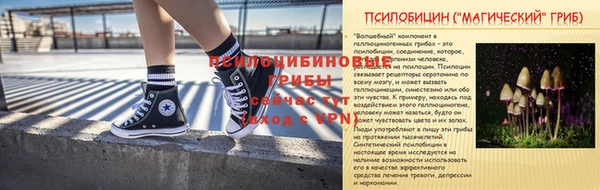 ГАЛЛЮЦИНОГЕННЫЕ ГРИБЫ Магас
