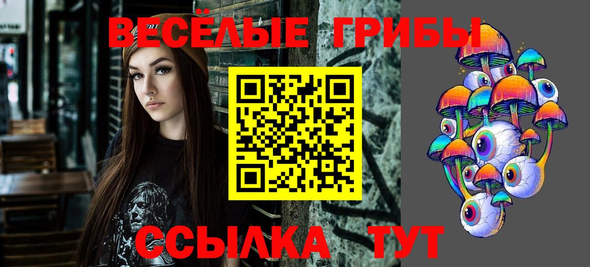 Псилоцибиновые грибы Psilocybe  Вход с VPN  Псилоцибиновые грибы ЛСД  Хабаровск 