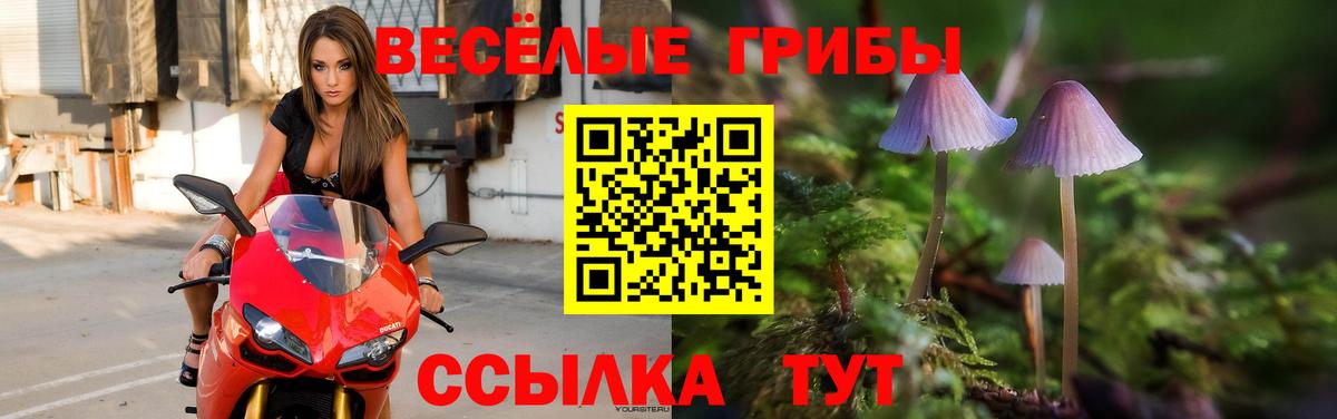 Хабаровск  Канабис  ЭКСТАЗИ  COCAIN  ГАШИШ  Мефедрон кристаллы  ГАШ  Вход с VPN  Альфа ПВП СК кристаллы  Кодеин 