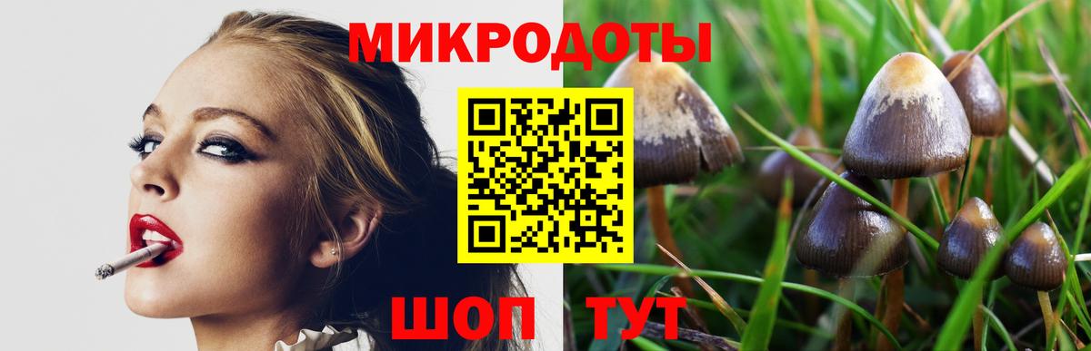 Псилоцибиновые грибы Magic Shrooms Хабаровск